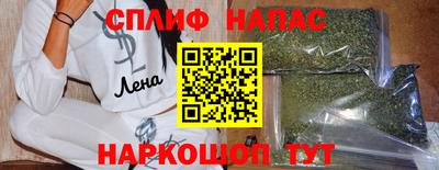 apvp Славгород
