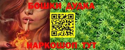 apvp Славгород