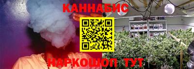 прущие крисы Сланцы