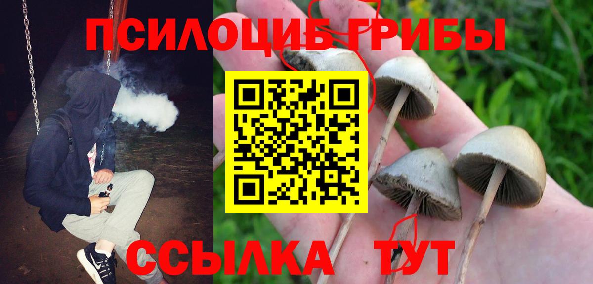 Псилоцибиновые грибы Psilocybe  Вход с VPN  Самара 